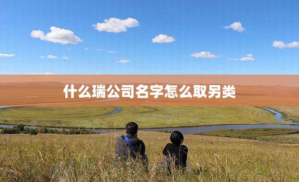 什么瑞公司名字怎么取另类
