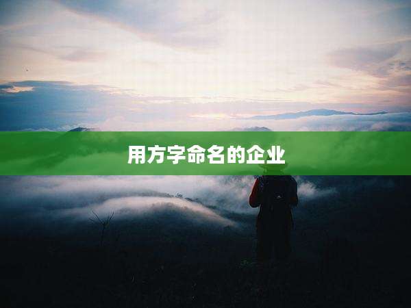 用方字命名的企业