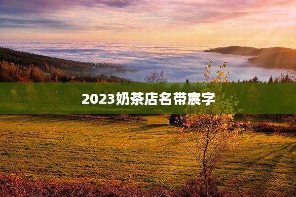 2023奶茶店名带宸字