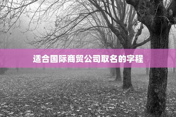 适合国际商贸公司取名的字程