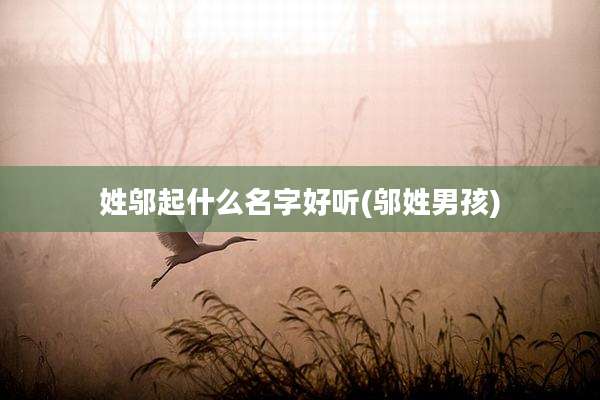 姓邬起什么名字好听(邬姓男孩)