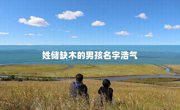姓储缺木的男孩名字浩气