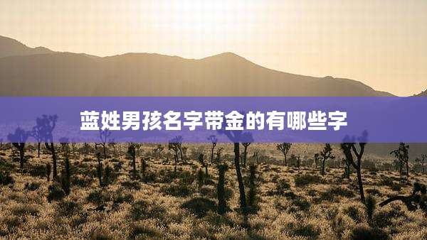 蓝姓男孩名字带金的有哪些字