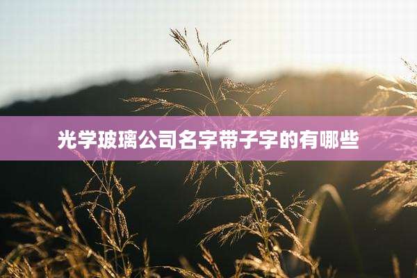 光学玻璃公司名字带子字的有哪些