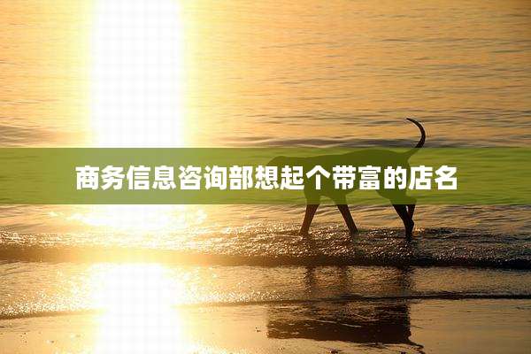 商务信息咨询部想起个带富的店名
