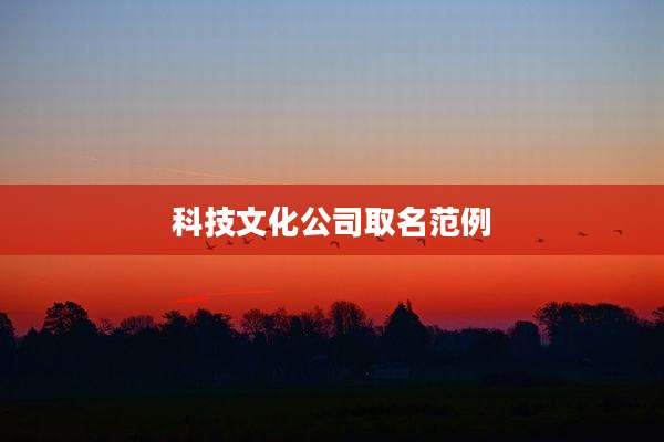 科技文化公司取名范例