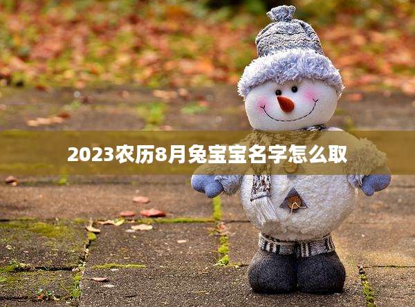 2023农历8月兔宝宝名字怎么取