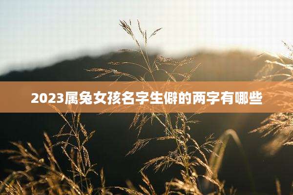 2023属兔女孩名字生僻的两字有哪些