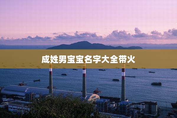 成姓男宝宝名字大全带火