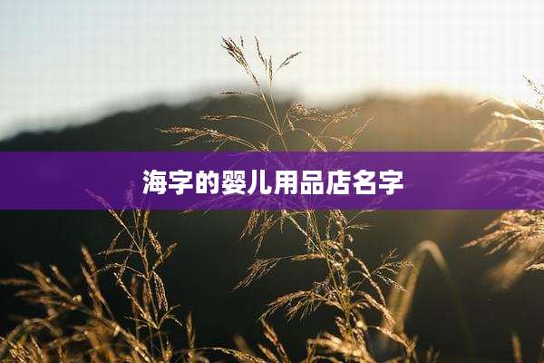 海字的婴儿用品店名字