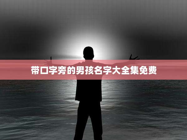 带口字旁的男孩名字大全集免费