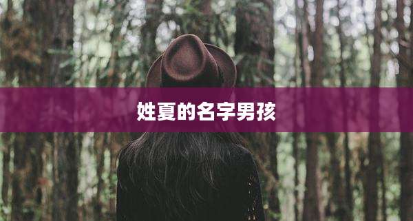 姓夏的名字男孩