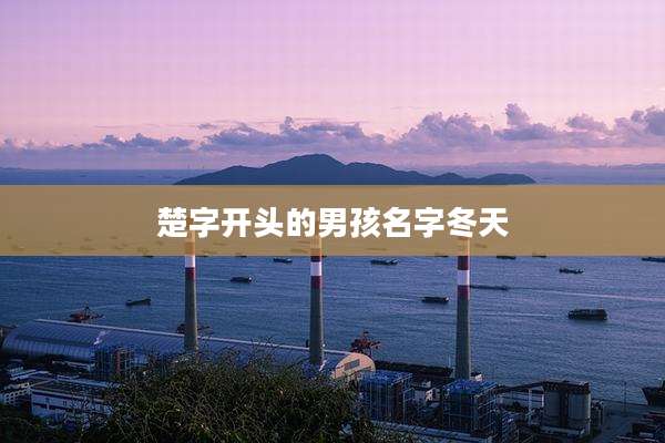 楚字开头的男孩名字冬天
