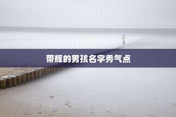 带辉的男孩名字秀气点
