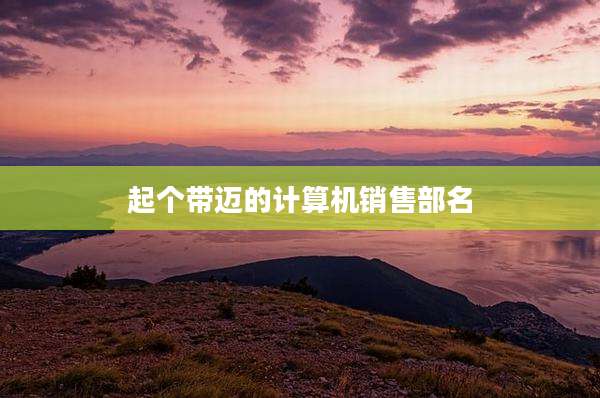 起个带迈的计算机销售部名