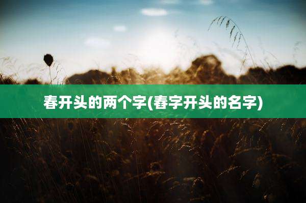 春开头的两个字(舂字开头的名字)
