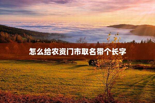 怎么给农资门市取名带个长字