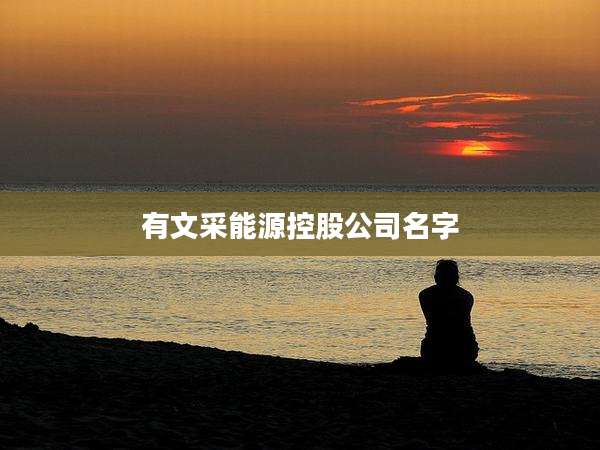 有文采能源控股公司名字