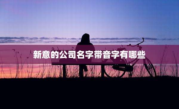 新意的公司名字带音字有哪些