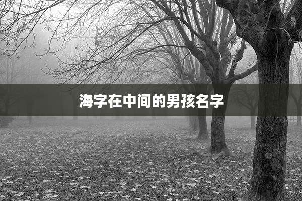 海字在中间的男孩名字