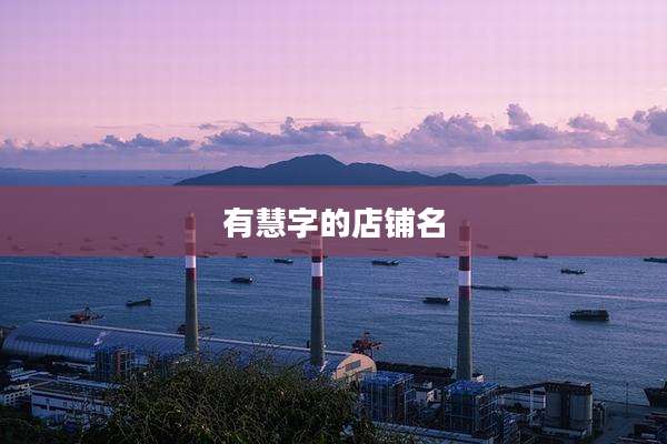 有慧字的店铺名