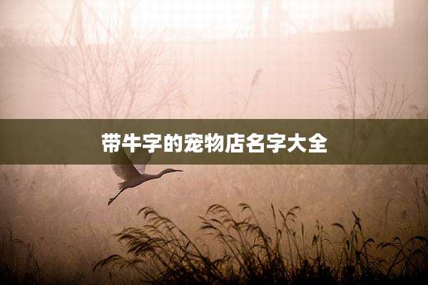 带牛字的宠物店名字大全