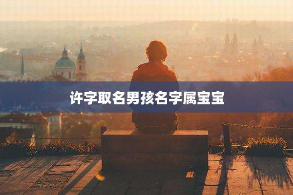 许字取名男孩名字属宝宝