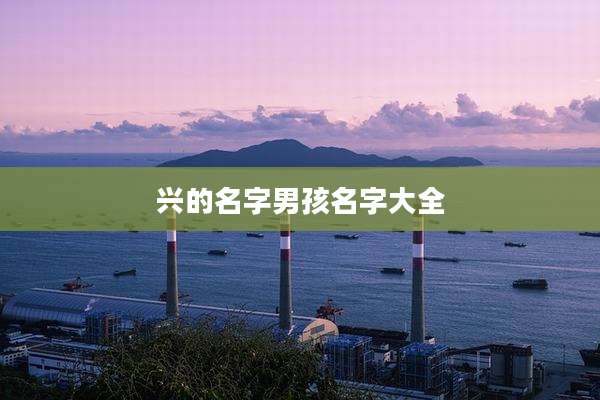 兴的名字男孩名字大全