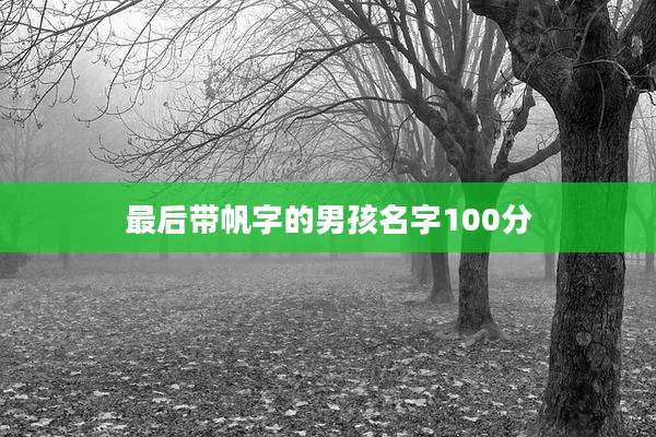 最后带帆字的男孩名字100分