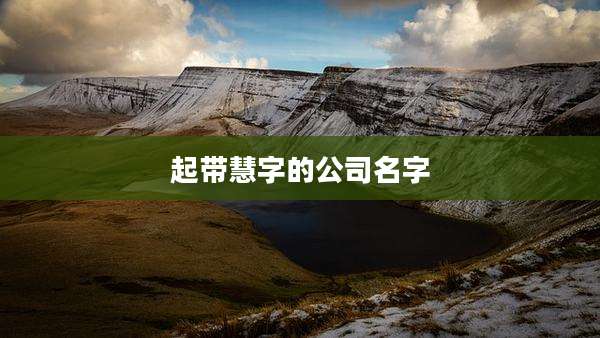 起带慧字的公司名字