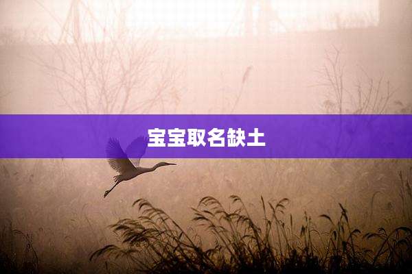 宝宝取名缺土