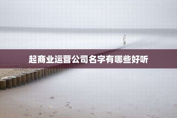 起商业运营公司名字有哪些好听