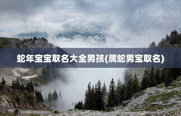 蛇年宝宝取名大全男孩(属蛇男宝取名)