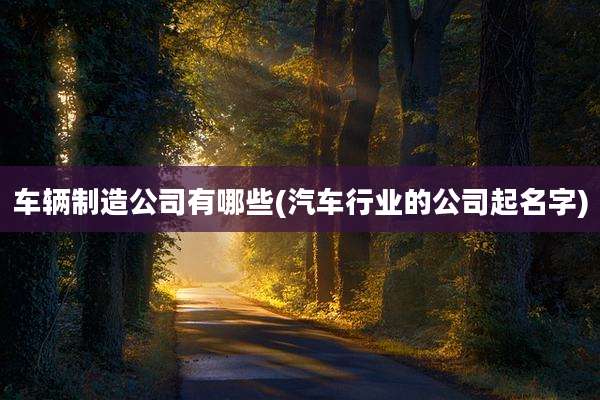 车辆制造公司有哪些(汽车行业的公司起名字)