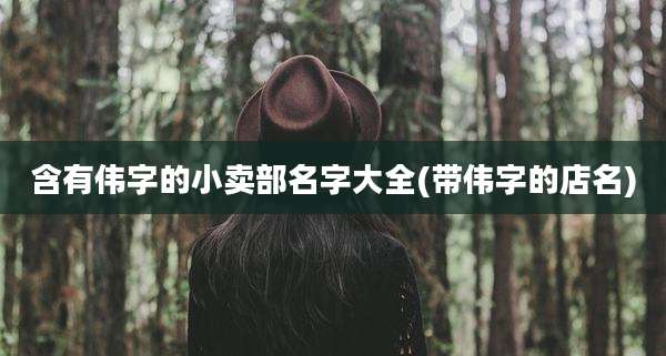 含有伟字的小卖部名字大全(带伟字的店名)