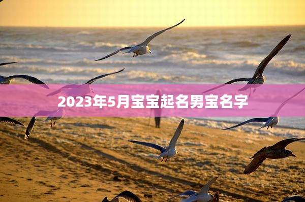 2023年5月宝宝起名男宝名字