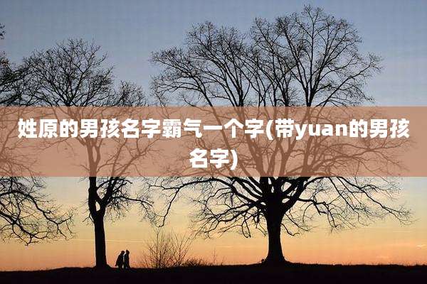 姓原的男孩名字霸气一个字(带yuan的男孩名字)
