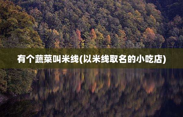 有个蔬菜叫米线(以米线取名的小吃店)