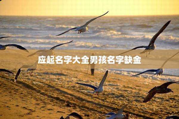 应起名字大全男孩名字缺金
