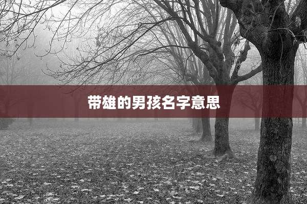 带雄的男孩名字意思