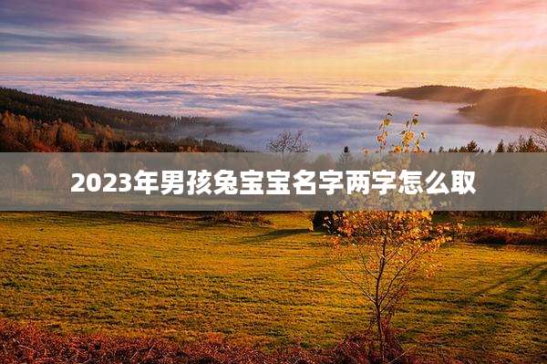 2023年男孩兔宝宝名字两字怎么取