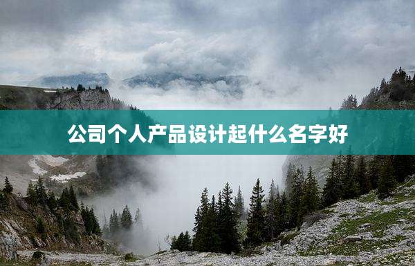 公司个人产品设计起什么名字好