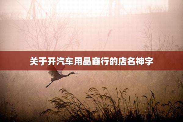 关于开汽车用品商行的店名神字