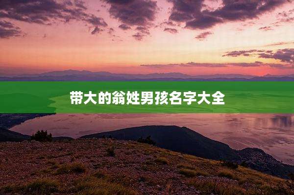 带大的翁姓男孩名字大全