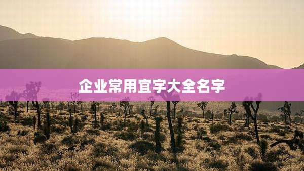 企业常用宜字大全名字