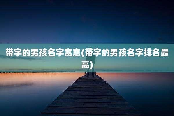 带字的男孩名字寓意(带字的男孩名字排名最高)
