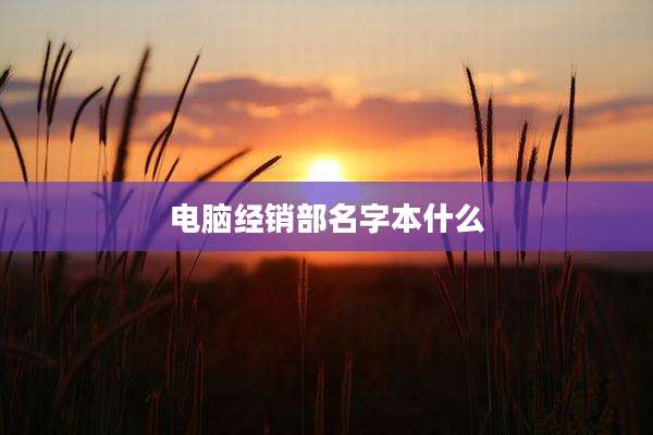 电脑经销部名字本什么