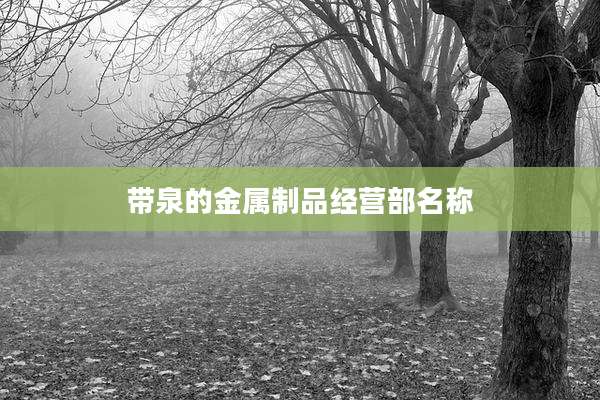 带泉的金属制品经营部名称