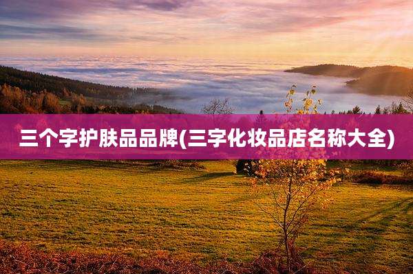 三个字护肤品品牌(三字化妆品店名称大全)