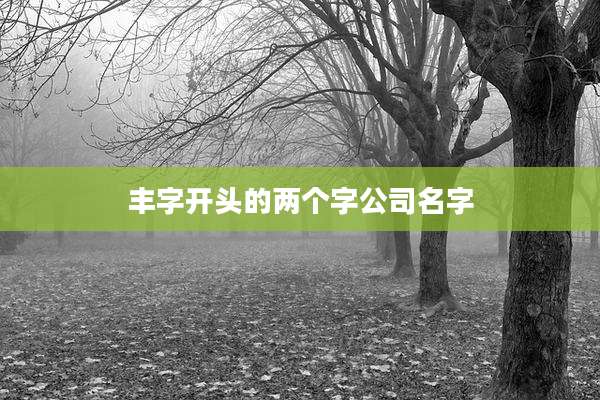 丰字开头的两个字公司名字